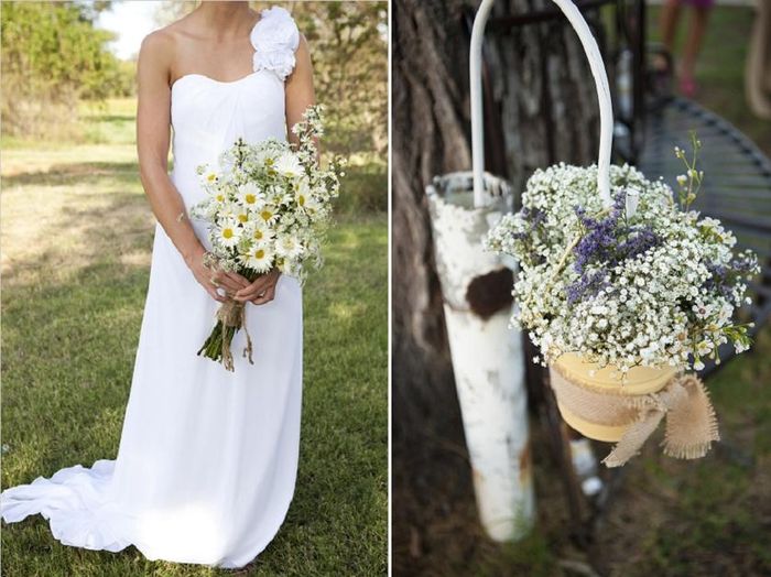 margherite e lavanda