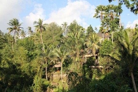 Bali Ubud