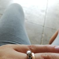 Finalmente le Fedi - 1