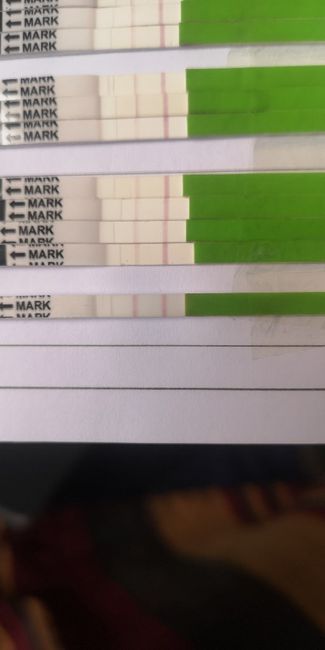 Chi non le aspetta per ottobre 2019 - 1