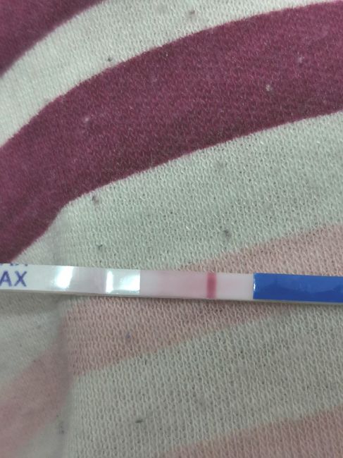 💝🎄🎉🎅🎁chi non le aspetta per dicembre 2019🎅🎁🎉🎄 - 1