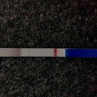 💝🎄🎉🎅🎁chi non le aspetta per dicembre 2019🎅🎁🎉🎄 - 2