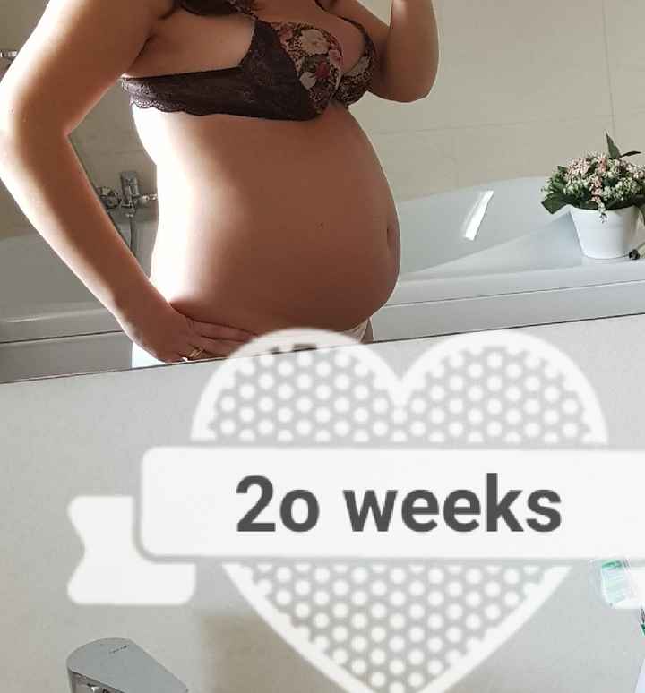 Pancioni🤰 - 1
