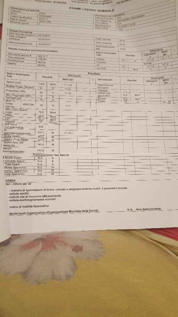  Risultati spermiogramma - 1