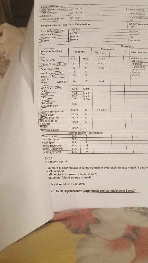 Risultati spermiogramma - 1