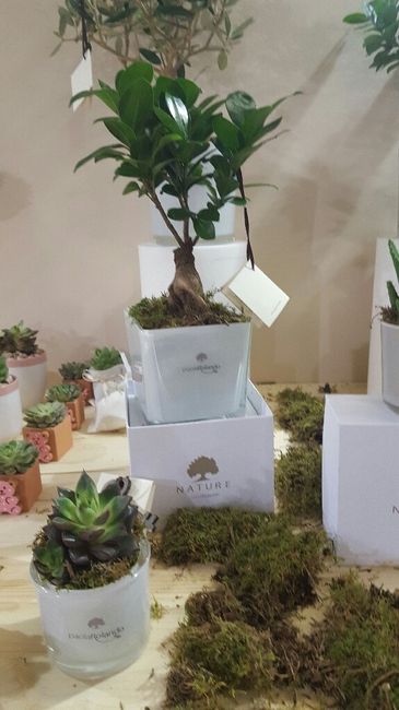 Bomboniere...non ce la posso fare!!? - 1