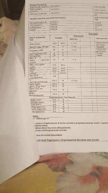 Risultati spermiogramma - 1