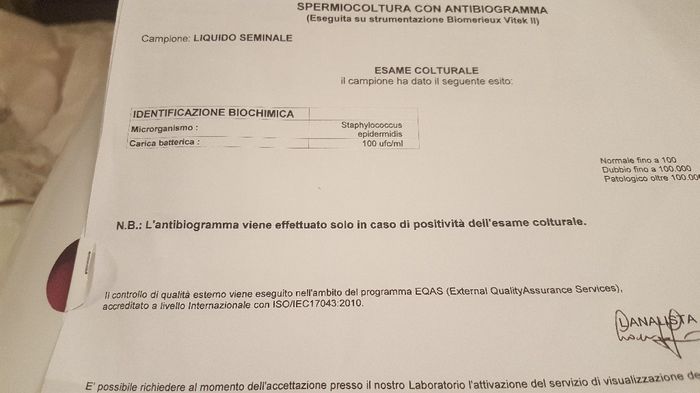 Risultati spermiogramma - 1