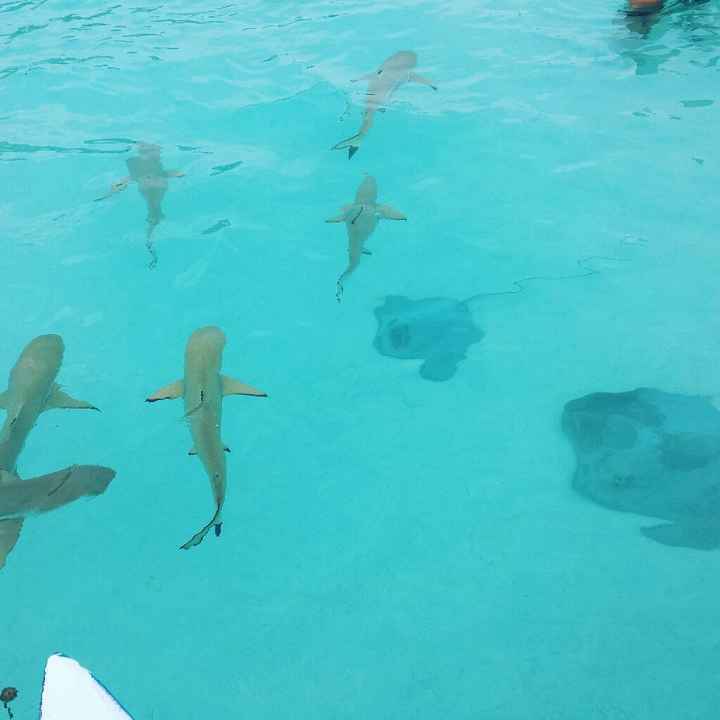 Honeymoon in the world! - 1