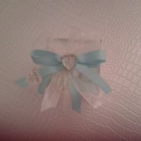 Nastri bomboniere: raso o tulle con plexiglass? - 1