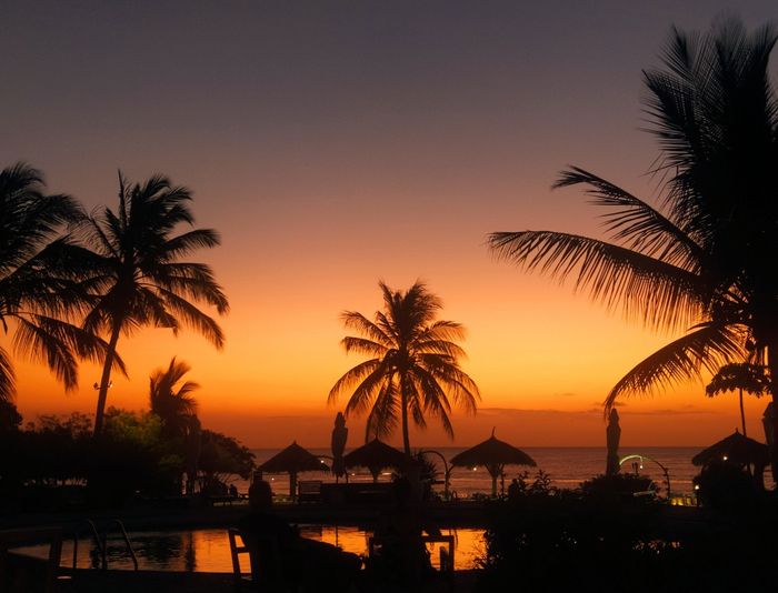 Zanzibar, un mare meraviglioso 2