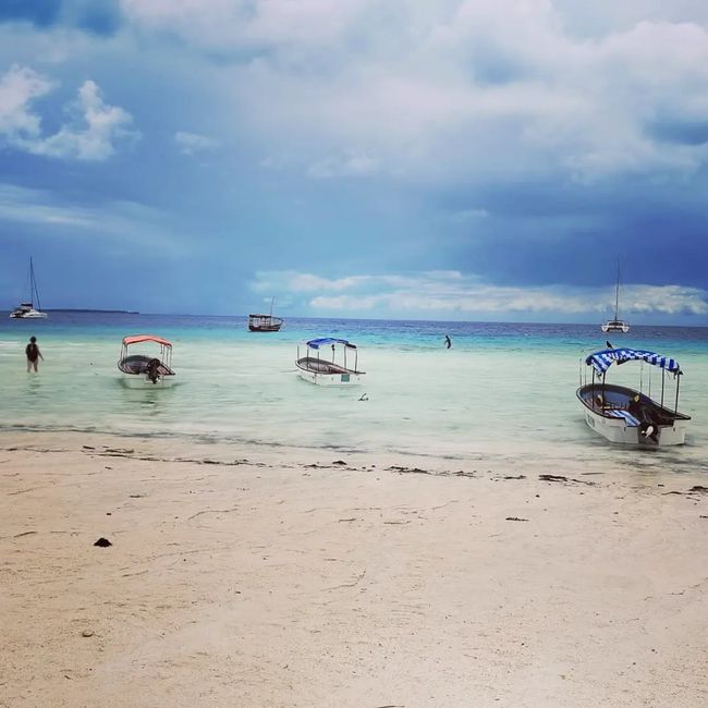 Zanzibar, un mare meraviglioso 3