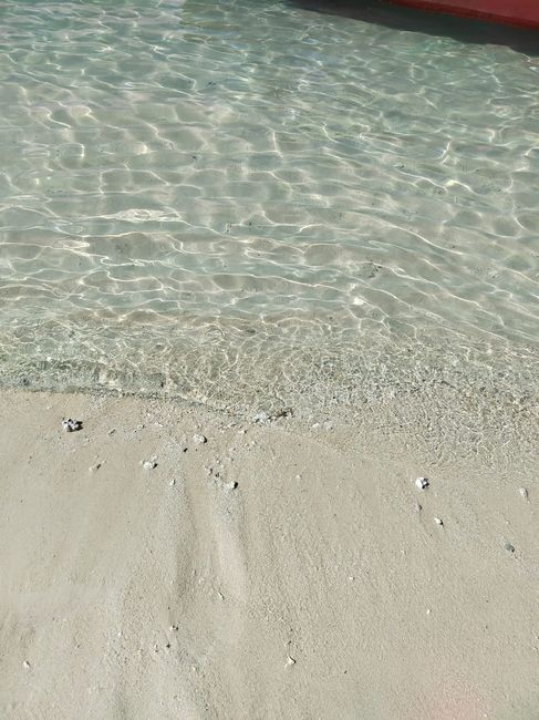 Zanzibar, un mare meraviglioso 6