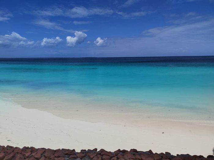 Zanzibar, un mare meraviglioso 9