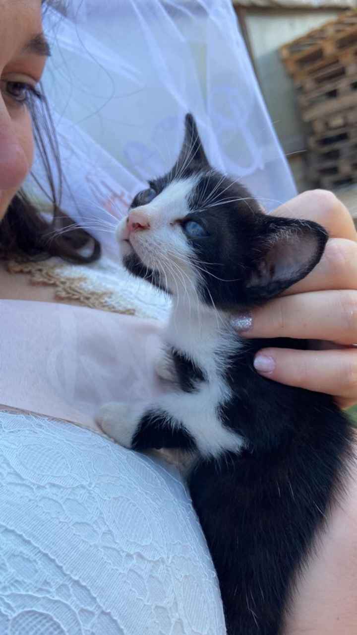 Addio al nubilato al quadrato! - 1