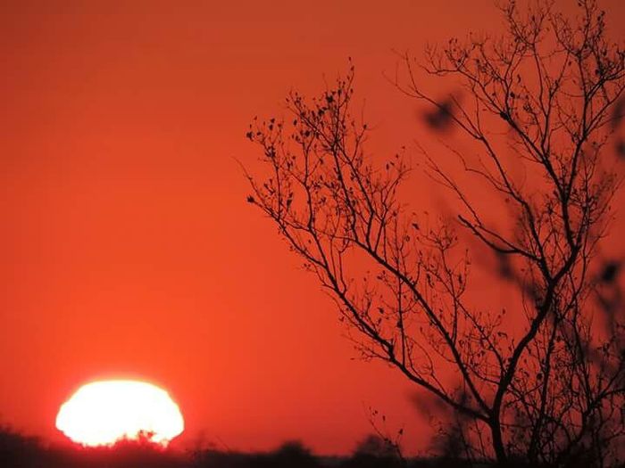  Mi fate vedere il vostro viaggio in Africa? - 10