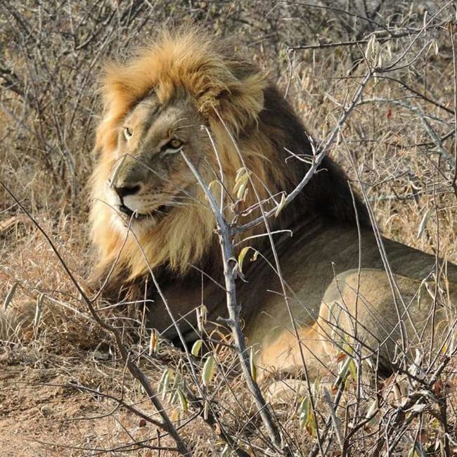  Mi fate vedere il vostro viaggio in Africa? - 11