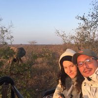  Mi fate vedere il vostro viaggio in Africa? - 4