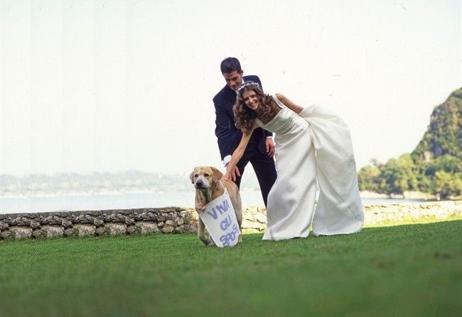 matrimonio e cani