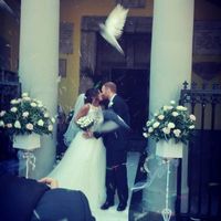  Il magnifico 23/09/2017 - 5