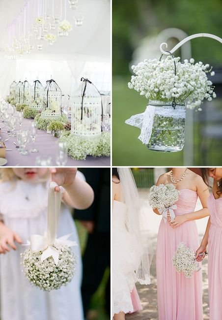 Cerco consiglio per il tema - 5