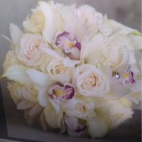 Scelta bouquet 💐 - 1