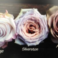 Scelta bouquet 💐 - 1