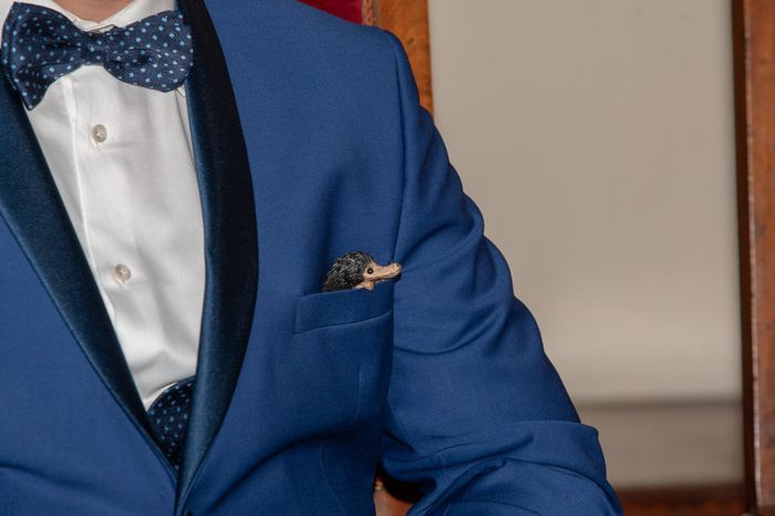 Uno snasetto tra gl'invitati d'onore.