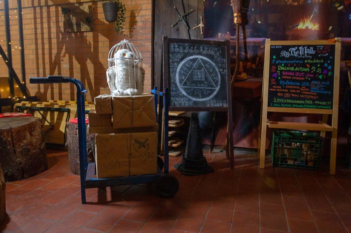 Carrello con libri e civetta pronti per il viaggio!