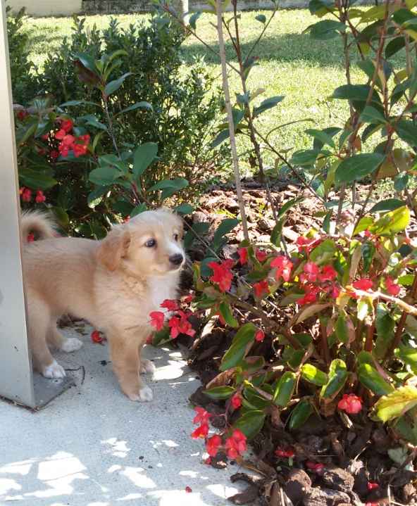 Too cute: i vostri amici animali - 1