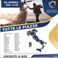 Conferenza Draghi ore 15 - 1