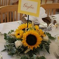 Girasoli
