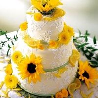 Ecco a voi la torta nuziale! - 1