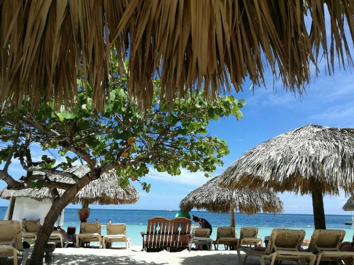 Santo domingo o jamaica?? - 1