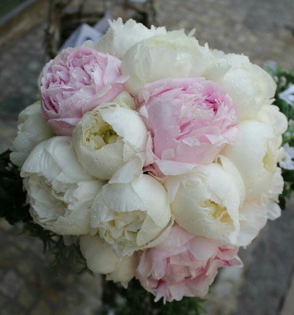 Quale bouquet vi piace? - 1