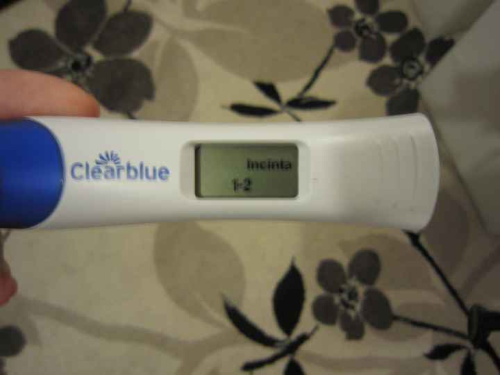 Un'emozione unica... il test positivo !!!