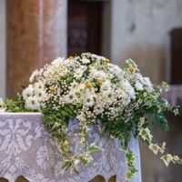 Consiglio fiori e colori  - 3