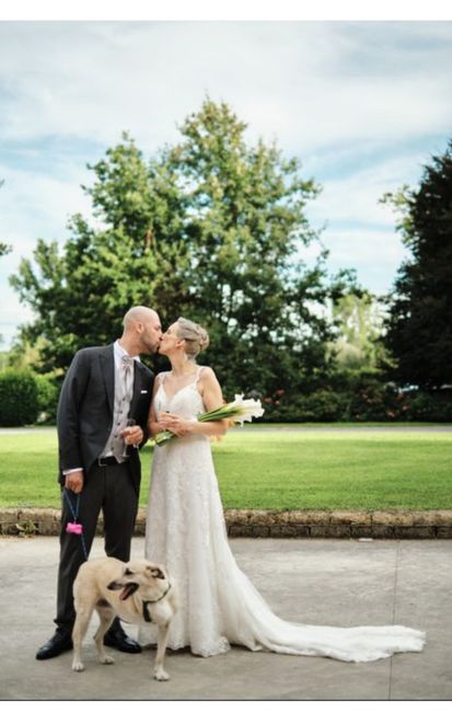 Il proprio cane al matrimonio, come? 2