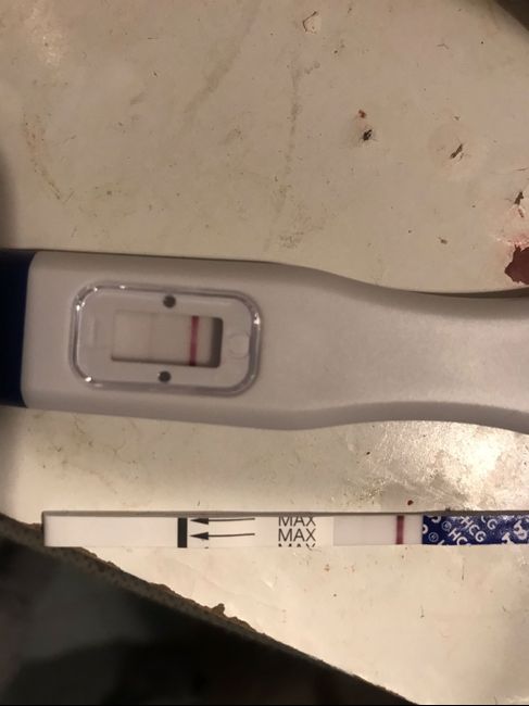 Canadese al 8 post transfer 2