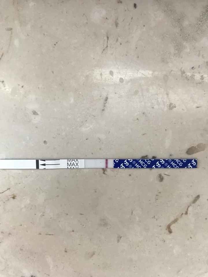 Canadese al 8 post transfer - 1