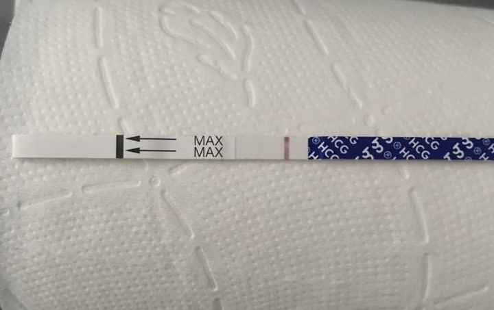 Canadese al 8 post transfer - 1