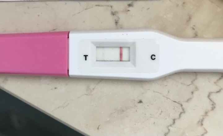 Canadese al 8 post transfer - 1