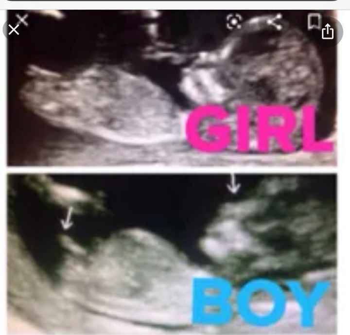 Nub theory 😂😂😂😂 - 1