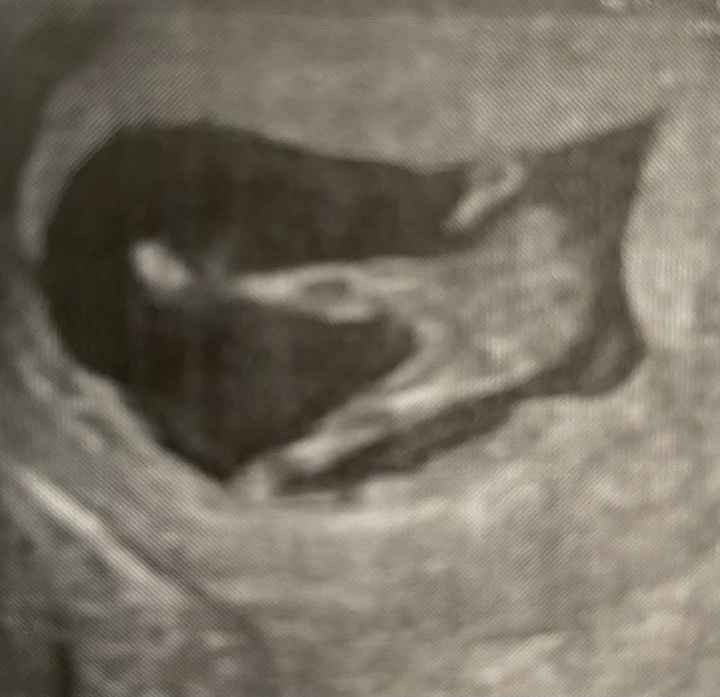 Future mamme Dicembre 2022 - 2