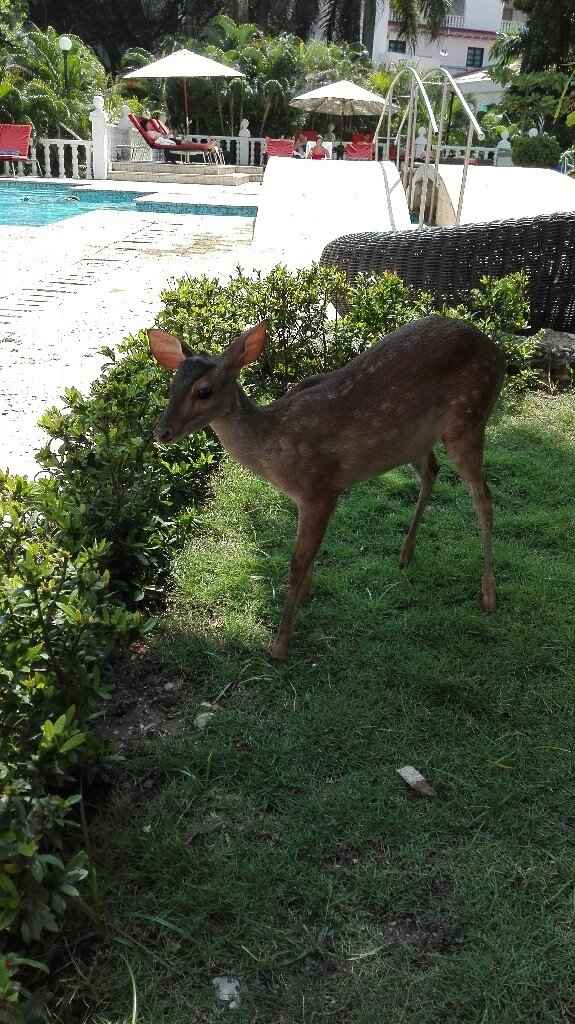 La nostra luna di.miele! - 6