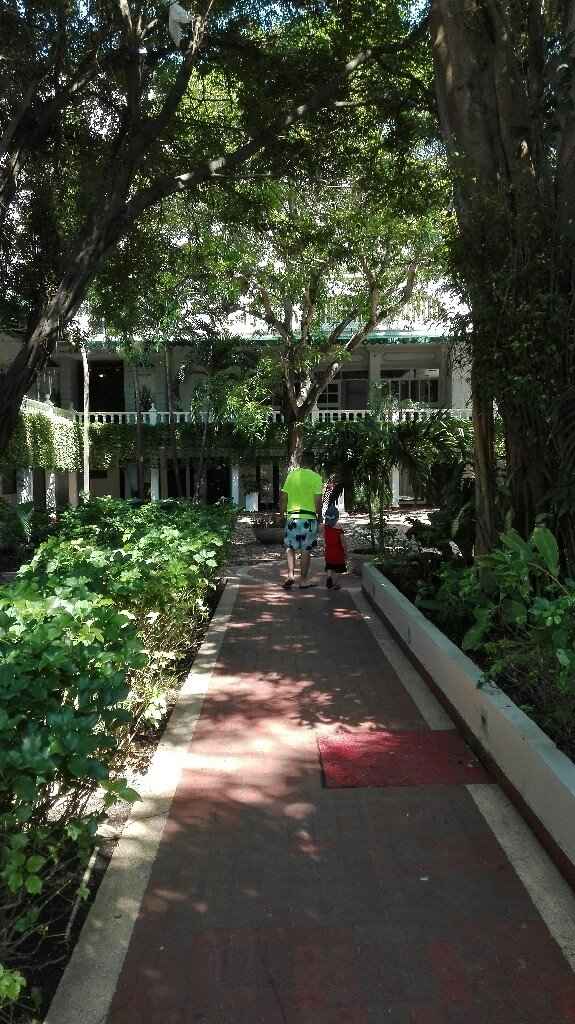 La nostra luna di.miele! - 7