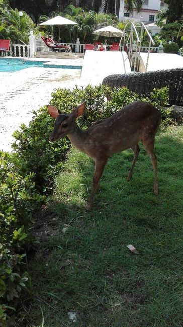 La nostra luna di.miele! - 6