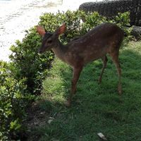 La nostra luna di.miele! - 6