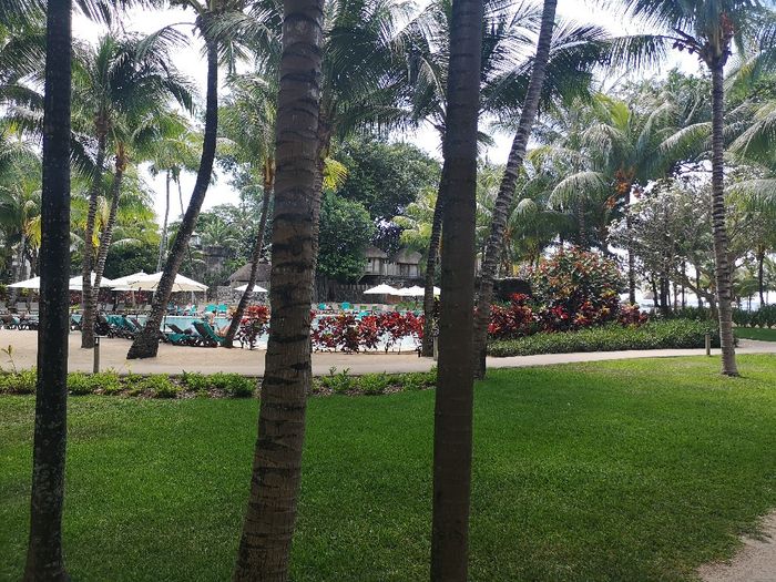 Recensioni Hotel Victoria e Cannonier a Mauritius 2