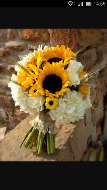 Bouquet qual'è il più bello? - 5